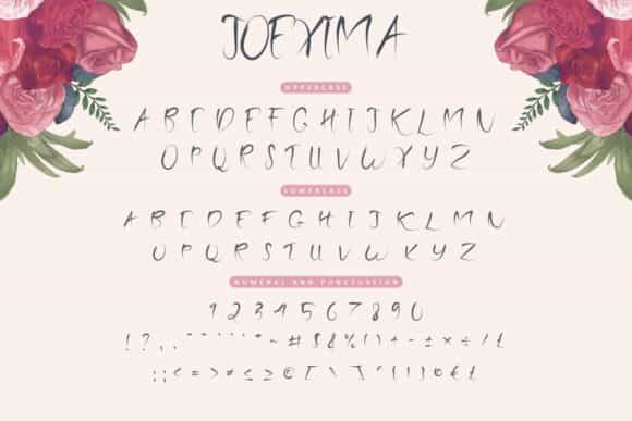 Joexima Brush Font Image 3
