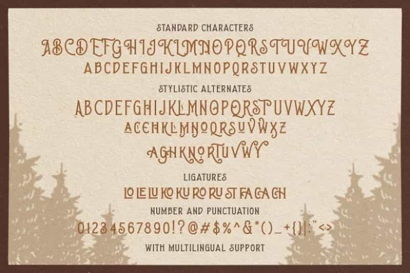 Brown Chunkers Display Typeface Image 3