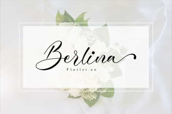 Cinderella Modern Calligraphy Font Image 3