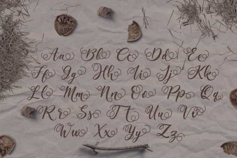 Cointa Script Font Image 3