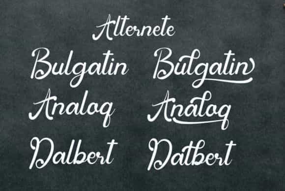 Bulgatin Script Font Image 2