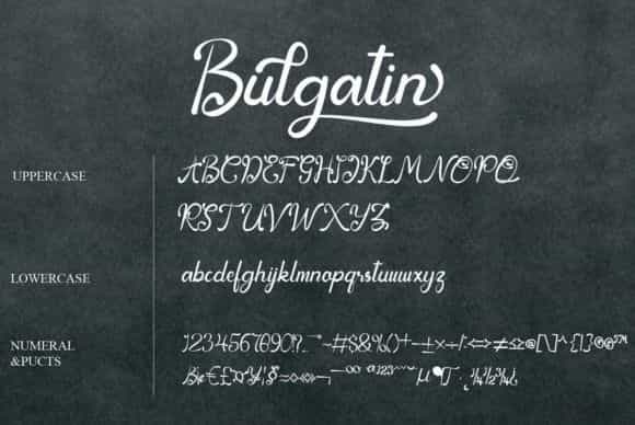 Bulgatin Script Font Image 3
