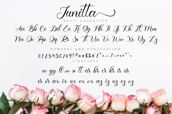Junitta Calligraphy Font Image 3
