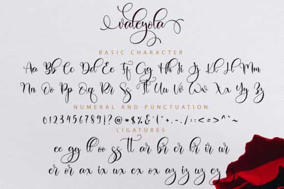 Valeyola Calligraphy Font Image 3