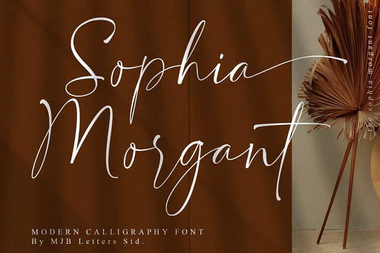 Sophia Morgant Calligraphy Font Image 1