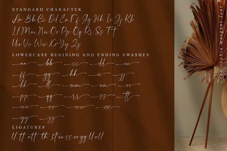 Sophia Morgant Calligraphy Font Image 3