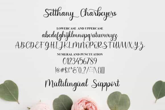 Senthany Calligraphy Font Image 3