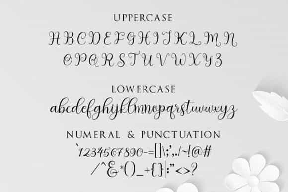 Hedaga Calligraphy Font Image 3
