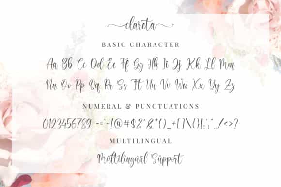 Clareta Modern Calligraphy Font Image 3