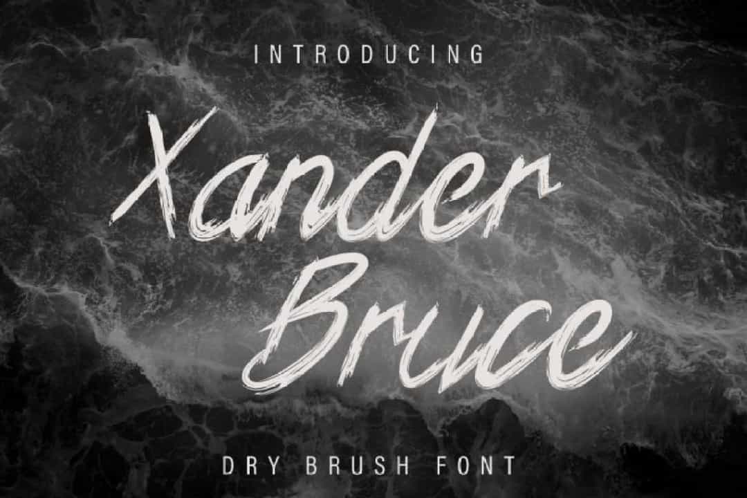 Xander Bruce Brush Font Image 1