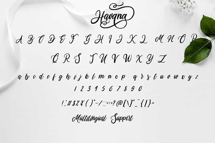 Havana Calligraphy Font Image 3