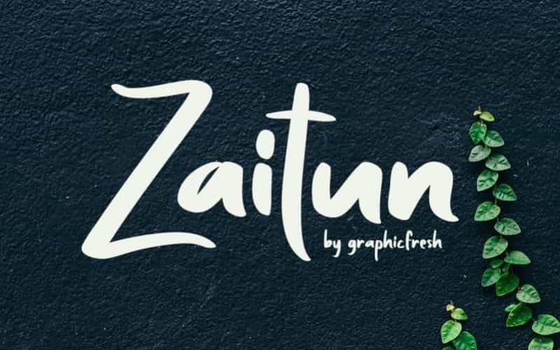 Zaitun Nature Branding Font Image 1