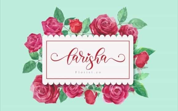 Bianca Calligraphy Font Image 2