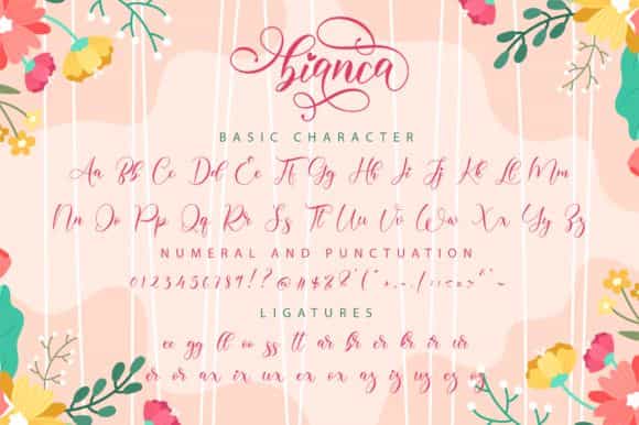 Bianca Calligraphy Font Image 4