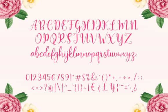 Bolyvina Calligraphy Font Image 3