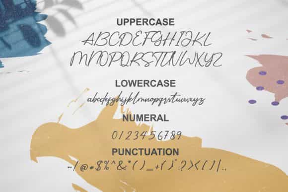Sidelines Luxury Script Font Image 3