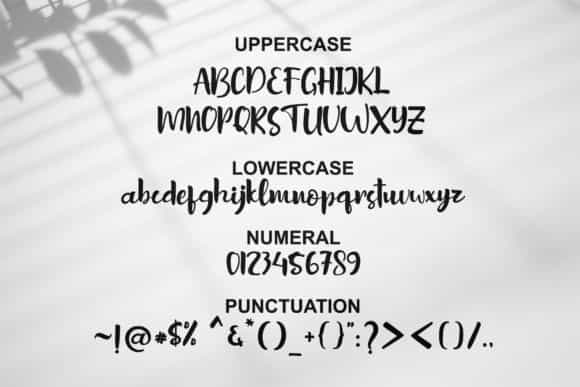 Sottel Bold Calligraphy Font Image 3
