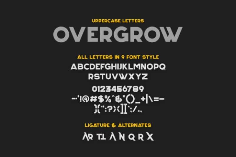 Overgrow Display Typeface Image 3