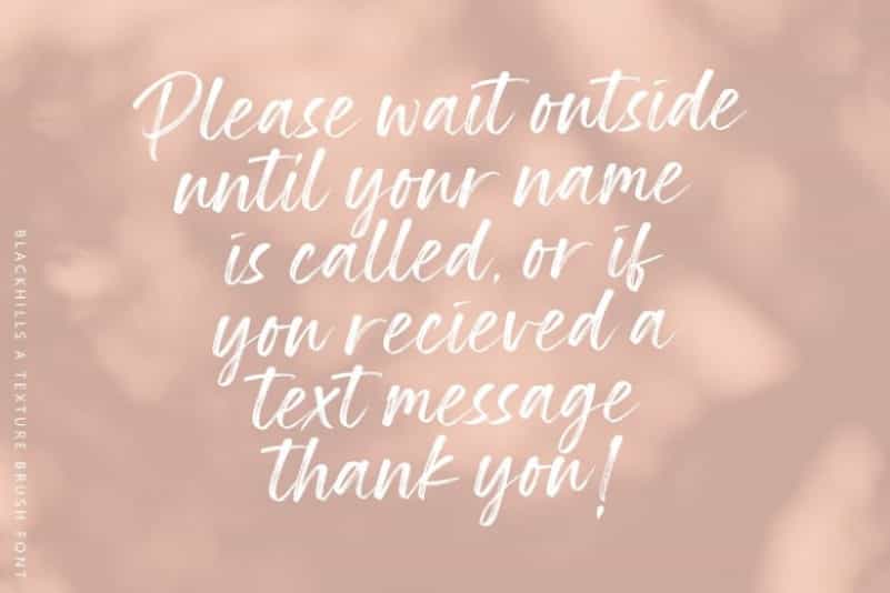 Blackhills Textured Brush Font Image 3
