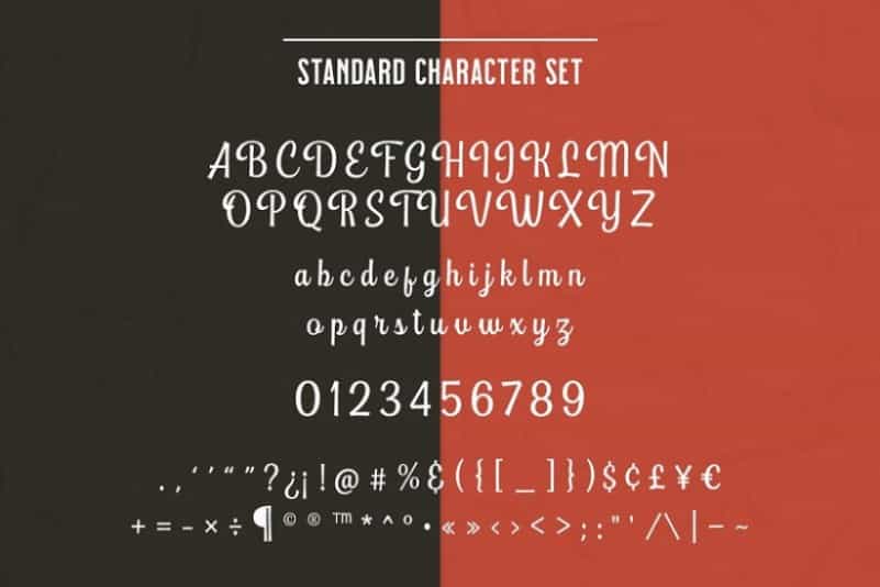 Playtoon Script Font Image 3