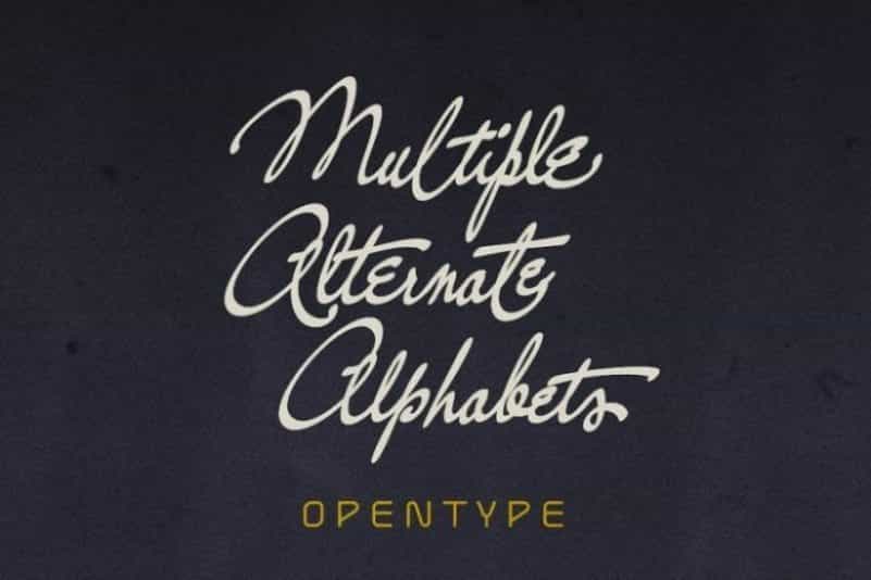 Nacinth Calligraphy Script Font Image 3