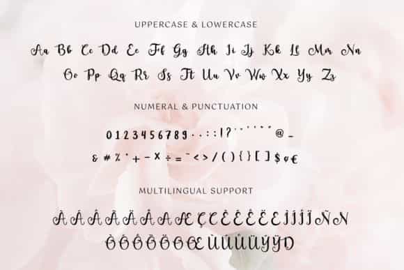 Shalma Modern Calligraphy Font Image 3