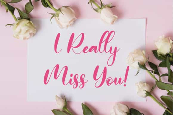Monieta Dorable Calligraphy Font Image 2