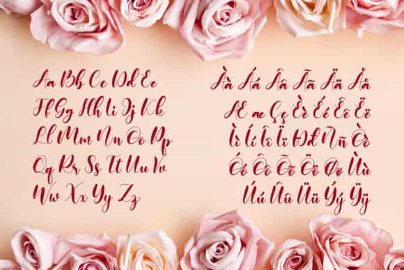 Monieta Dorable Calligraphy Font Image 3