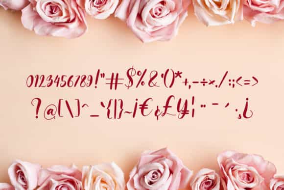 Monieta Dorable Calligraphy Font Image 4