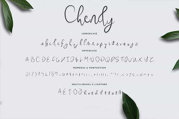 Chendy Handwritten Script Font Image 3