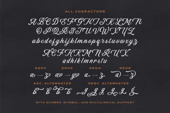 Linkgray Modern Script Font Image 3