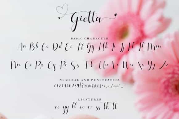 Gietta Calligraphy Font Image 3
