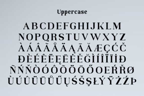 Moodern Serif Font Image 3