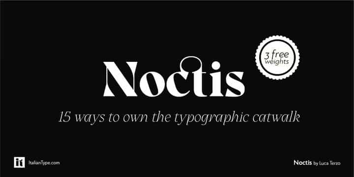 Noctis Serif Font Image 1