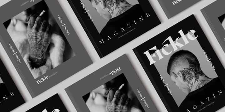 Noctis Serif Font Image 2