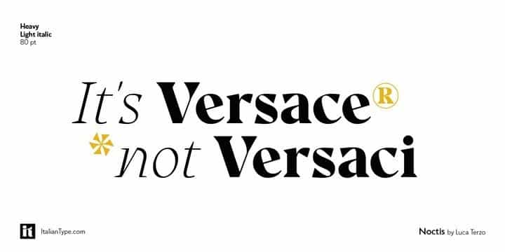 Noctis Serif Font Image 3