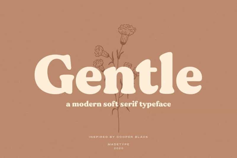 Gentle Soft Serif Font Image 1