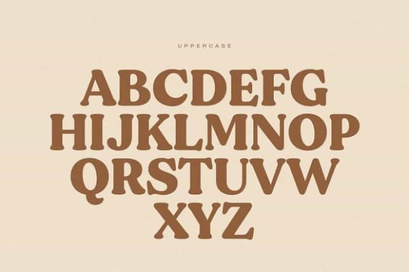 Gentle Soft Serif Font Image 3