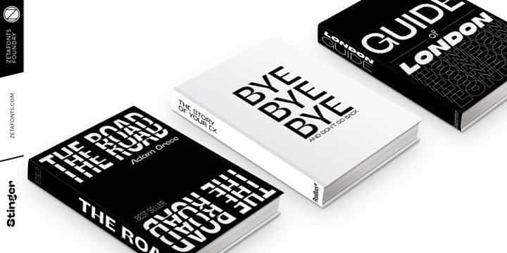 Stinger Sans Serif Font Family Image 2