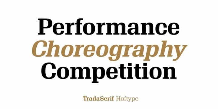 Trada Serif Font Image 2