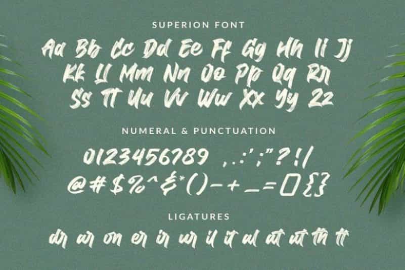 Superion Brush Script Font Image 3