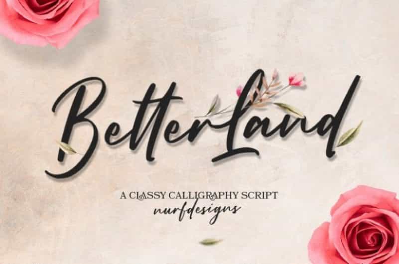 Better Land Classy Script Font Image 1