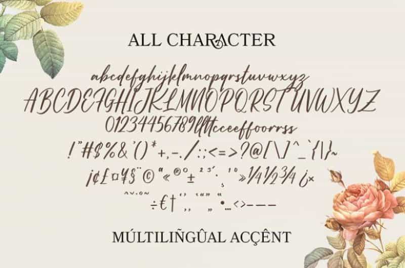 Better Land Classy Script Font Image 3