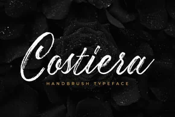 Costiera Hand Brush Font Image 1