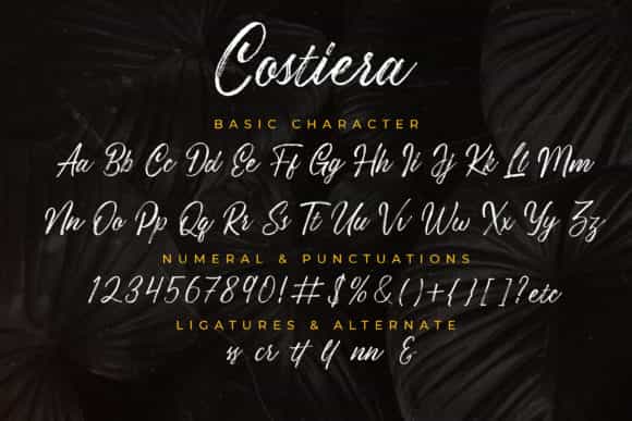 Costiera Hand Brush Font Image 3