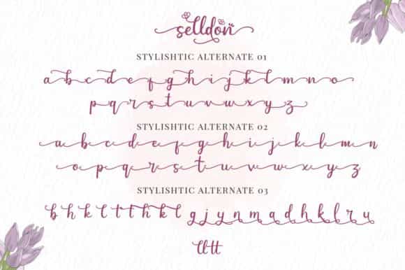 Selldon Modern Calligraphy Font Image 3