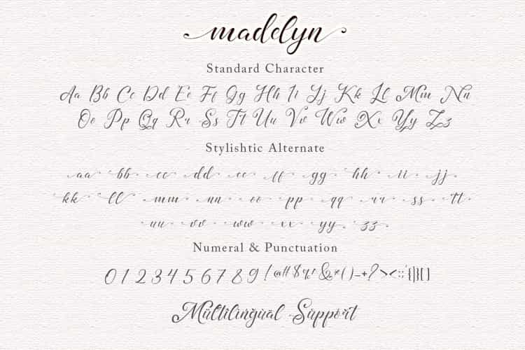 Madelyn Chic Font Image 3
