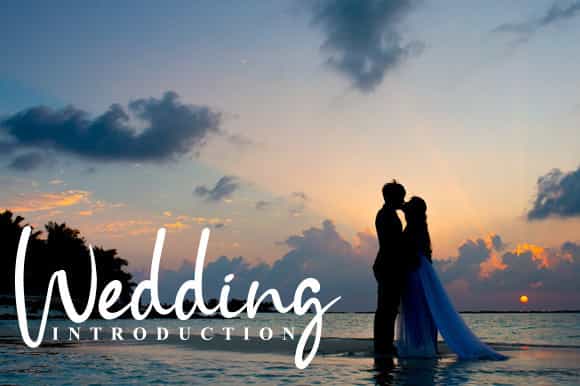 Entaman Script Font Image 2