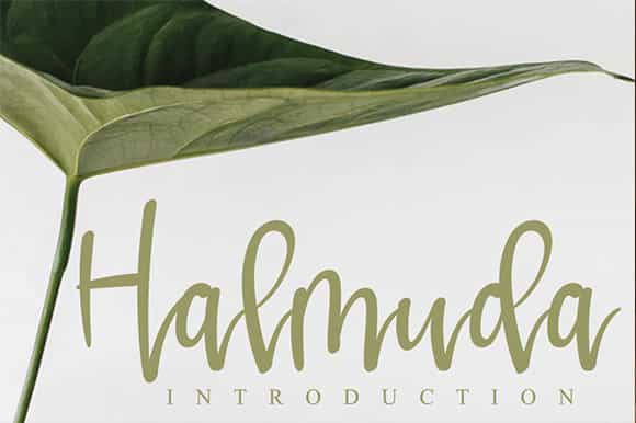 Halmuda Script Font Image 1