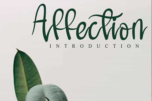 Halmuda Script Font Image 3